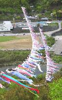 500 carp-shaped streamers put up cross Shimanto River